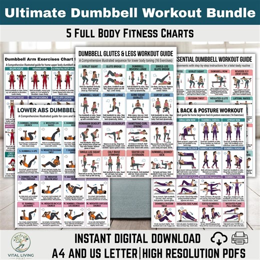 Ultimate Dumbbell Workout Poster Bundle | 5 Full Body Fitness Charts | Home Gym Printable Wall Art | Arm Leg Core Exercise Guide PDF - Etsy