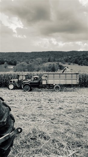 1.8K views · 46 reactions | Harvest 2025 loading… I tell y’all...