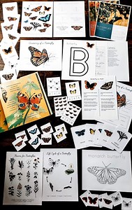 Butterfly Unit Study - Etsy