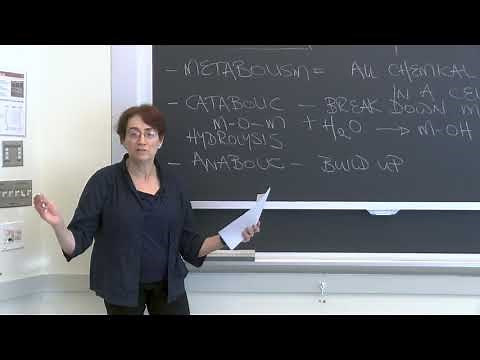 Lecture 2.1: The Cell and How it Works — Condensation and Hydrolysis