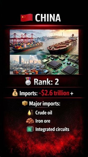 🌍 Top 10 Largest Importers in the World