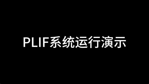 PLIF系统运行演示