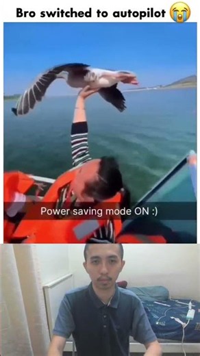 Birdio saving power and going into chill bird mode