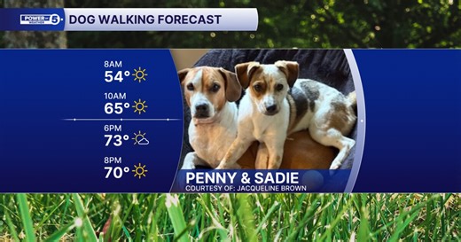Your Labor Day dog walking forecast