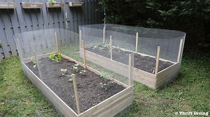 How to Build a DIY Raised Garden Bed and Protect it With a Metal Fence