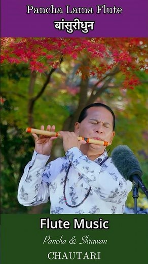 Flute Music | Morning Flute | Bansuri | Basuri Dhun | instrumental Music #flute #flutemusic #shorts