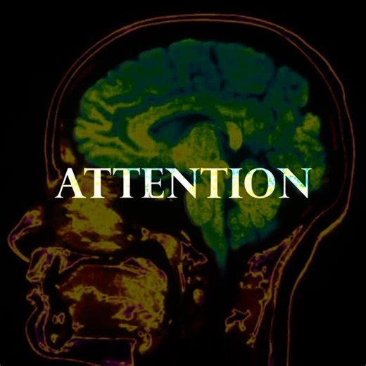 ADHD isn’t just about distraction or hyperactivity — it’s rooted in how the brain processes reward, attention, and impulse control. In rare cases, this neurological wiring can create unpredictable behavior. One unique case showed clear signs of ADHD—not just impulsivity, but a brain wired for novelty, risk, and erratic behavior. Here’s how neuroprofiling cracked the pattern when nothing else did. #ADHD #Neuropsychology #BrainScience #Brain #Impulsivity #MentalHealth #PsychologyFacts #Neurodiverg