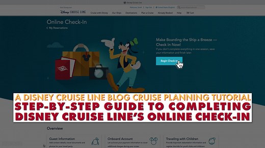 A Step-by-Step Guide to Completing Disney Cruise Line's Online Check-In Process • The Disney Cruise Line Blog