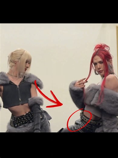 Rui's Provocation: Understanding the Dynamics on TikTok