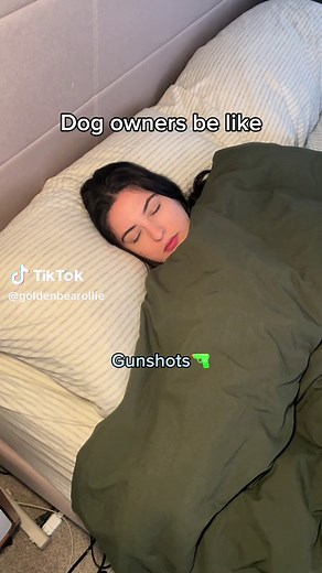 Hilarious Dog Throwing Up Meme Compilation