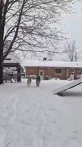 Snow day, fun day! | Gone to the Snow Dogs