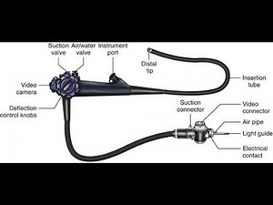Interventional Endoscopy - AI Image Guided X-ray Live Demo| Advanced Endoscopy | Colonoscopy