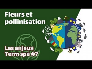 Fleurs et pollinisation- SVT - ENJEUX Term spé #7 - Mathrix