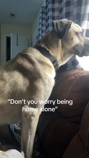 Home Security Tips for Solo Dwellers