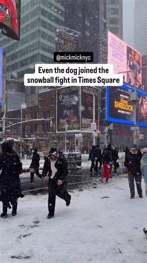 Over a foot of snow and Times Square chose snow chaos ☃️🫶 Snowball fights slipping on ice kids waist deep in snow and even Mika & Bonita getting in on it 🐕 Washington Square Park snowball fight at 3PM if you’re not done yet 😉☃️ | New York Mickey