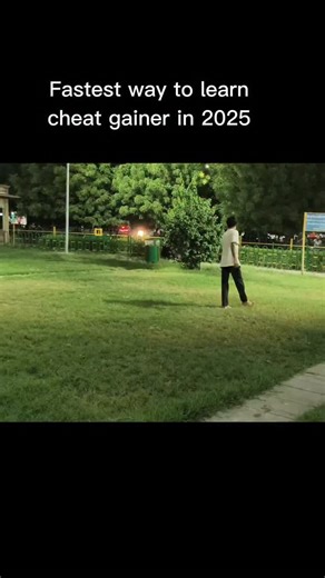 Calisthetics Brothers on Instagram: "Fastest way to learn cheat gainer in 2025 🤝🏻 . . . . . #calisthenics #fyp #explorepage✨ #foryourpage #viralreels #trendingreels #handstand #discipline #cheatgainer"