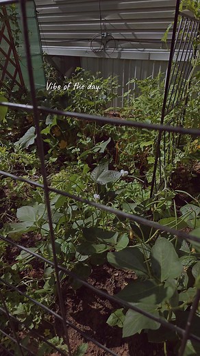 Vision without action is merely a daydream! Take action and watch how your vision grows! Hello FB! Happy Tuesday to all. Remember Book discussion tonight 8:45 p.m CST! 🫶🏾 | Latanya Lee