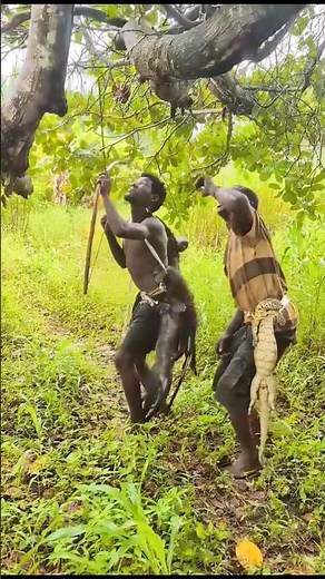 A Lei da Selva: Caça e Sobrevivência Extrema! 🏹