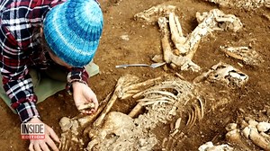 9.7K views · 283 reactions | Five-thousand-year-old skeletons have just been unearthed in Scotland. A team from National Museums Scotland and Cardiff University rediscovered a tomb that was mostly destroyed 127 years ago. | Inside Edition | Facebook