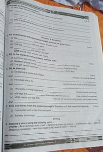 C. Answer the following questions:How does illiteracy affect ... | Filo