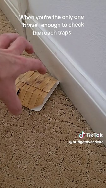 Time to move!!! We lived in this house for 7 years and not ONE until 6 weeks ago and this is the third. Not sure if it's palmetto or the other worse bug but time to call the exterminator... #trauma #scared #fyp #fypシ #viral