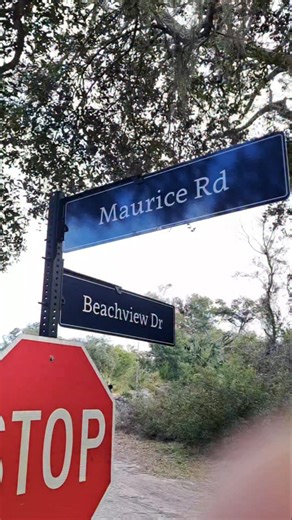 How to find the Love Tree ( or heart tree) located on Maurice Road on the north end( not far from Driftwood Beach) on Jekyll Island, Georgia. This is a unique tree with a heart shape in its wood near the bottom of the tree. It's in the same area where the new Color Purple movies were filmed a few years ago. Find Maurice Road, go down the road slowly, and look for a dead tree ( with no branches except at the top) to the right of the road. If you have seen the Love Tree on Jekyll Island, please le