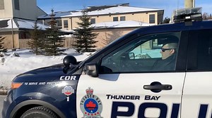 4.2K views · 40 reactions | The continuation of critical police...