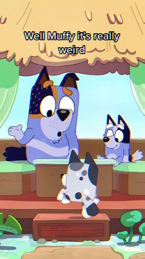 Muffin and Socks Review from Bluey | Cute and Funny Moments