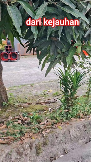 ndung tuk cek sound system wajib katanya #soundsystem #soundomahan #soundhajatan