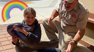 167K views · 6.1K reactions | This giant python goes by the name of...