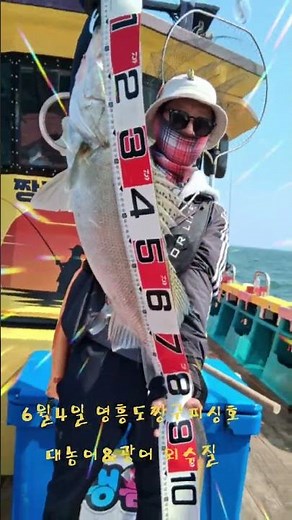 영흥도짱구낚시짱구피싱호ㆍ짱구투호ㆍ강팀호영암호ㆍ대광어다운샷ㆍ쭈꾸미ㆍ갑오징어ㆍ참돔ㆍ외수질