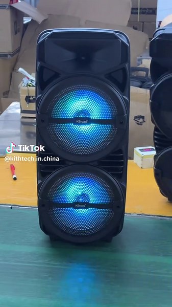 Dual 12 Inch Bluetooth Speakers with Microphone
