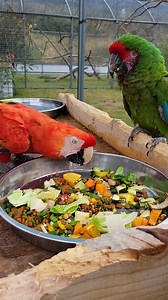 3.3K views · 110 reactions | Did you know that providing a...