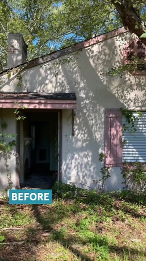 207K views · 4.4K reactions | At the risk of getting eaten alive,...