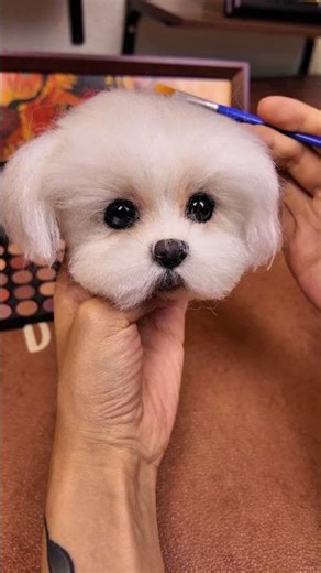 From Photos to a Wool-Felt Pet Portrait (Handmade Process)