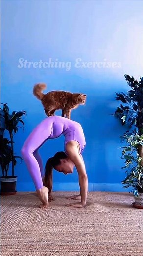 stretching exercises | yoga for stretching and relaxation #yoga #yogastretch ##yogastretches