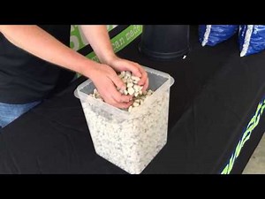 GS-1 Hydro Stones: The ultimate in hydroponic growing