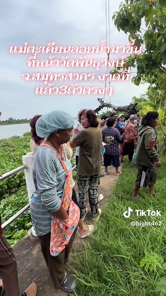 แม่ตะเคียนลอยน้ำขึ้นหน้าวัดพันธุวงษ์ สมุทรสาคร งวดที่แล้วถูก 3 ตัวตรง