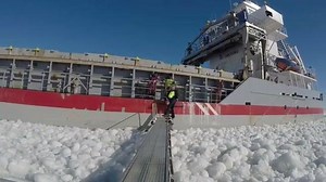 The pilot jump from the ship! | Certificate of Competency - COC