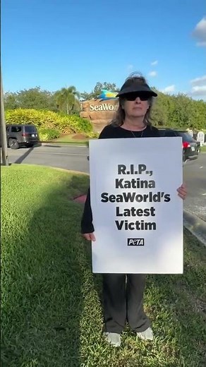 The last wild-captured orca at SeaWorld Orlando, she died without ever returning to the ocean.