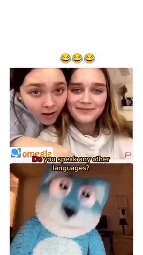 Sens.e | The video depicts two women asking a blue wolf plush toy, named Omegle, to say "shut your mouth" in Spanish, prompting it to respond with... | Instagram