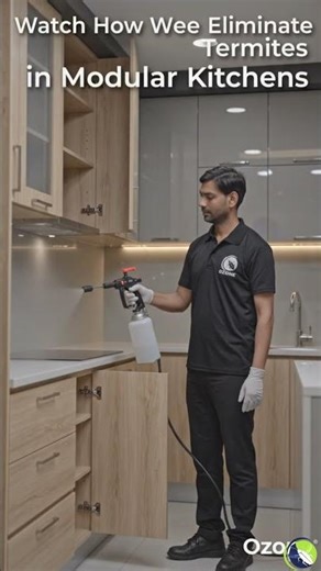 Watch How We Eliminate Termites in Modular Kitchens | Ozone Pest Control