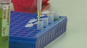 Mt. Washington hemp lab is the first of its kind in the Commonwealth