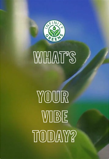 infinitygreen on TikTok