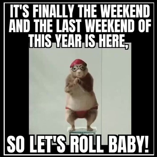 Happy weekend 🙂 #weekendhumor #humor #funnuvideos #humor #weekend #funnyanimalvideos | Funny thoughts and jokes.