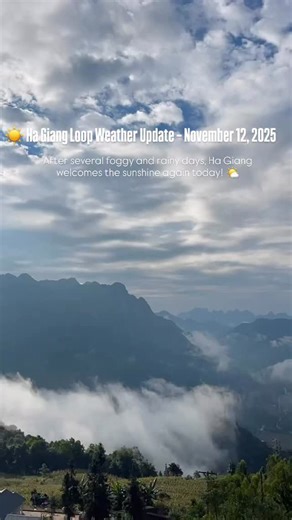 ☀️ Ha Giang Loop Weather Update – November 12, 2025 After several foggy and rainy days, Ha Giang welcomes the sunshine again today! 🌤️ The morning is still a bit chilly, but the sky has cleared up, and sunlight is slowly spreading across the winding mountain passes of Dong Van and Meo Vac. 🌄 Daytime: - Early morning: Temperatures around 16–18°C, with light fog still lingering in the valleys. - Noon – afternoon: The weather becomes warm and dry, with soft sunlight — perfect for riding, explorin