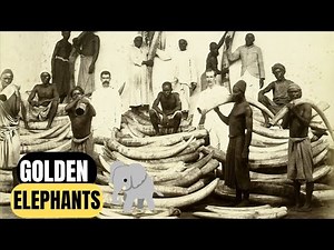 Behind The African Ivory Trade I History Of Ivory Trade