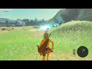 Starting the BotW Randomizer