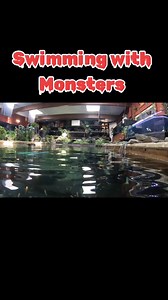 40K views · 543 reactions | soon ill have arapaima back in my pond. #fish #aquarium #fishing #pond #reels | Ohio Fish Rescue | Facebook