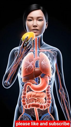 What Happens Inside Your Body When You Eat Mango 🥭 | 3D Human Body Animation#healthtips